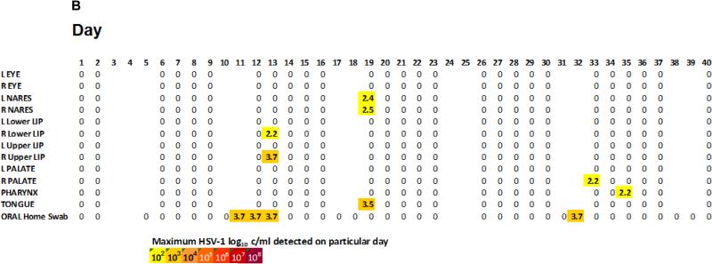 Figure 3B