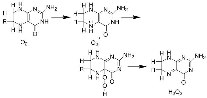 Scheme 3