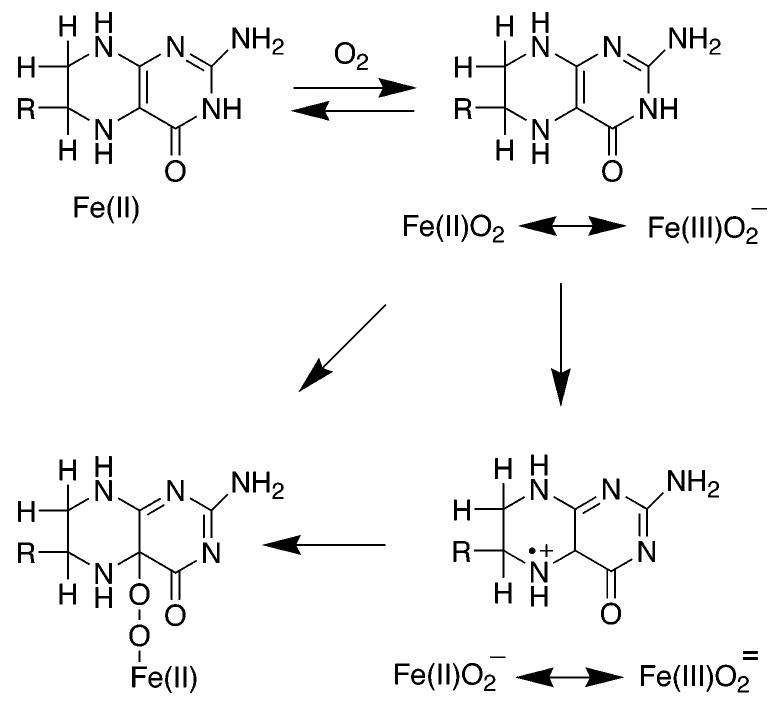 Scheme 4