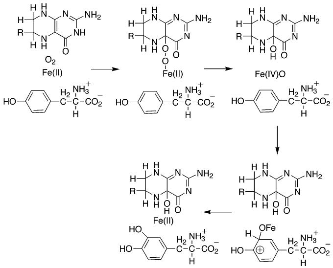 Scheme 2