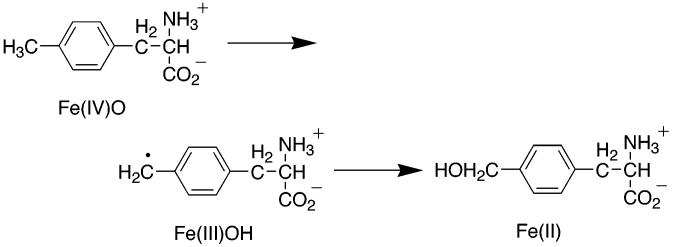 Scheme 6