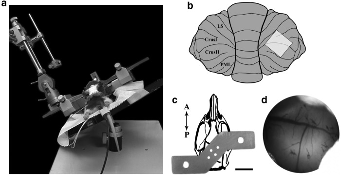 Figure 2.