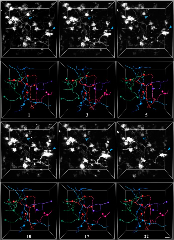 Figure 4.