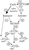 FIG. 5