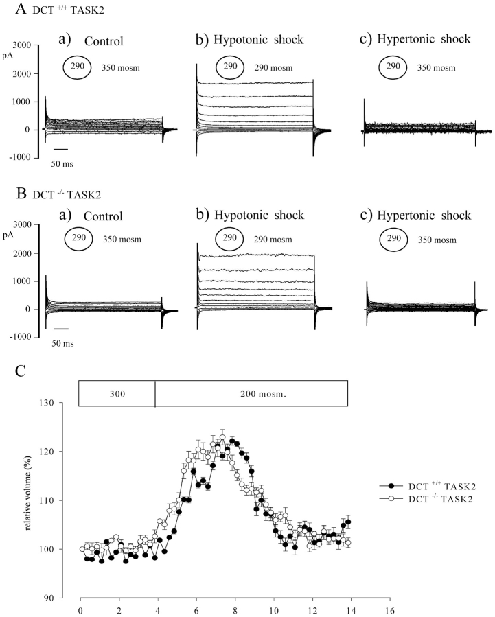 Figure 10. 