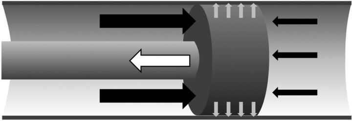 Fig 1.