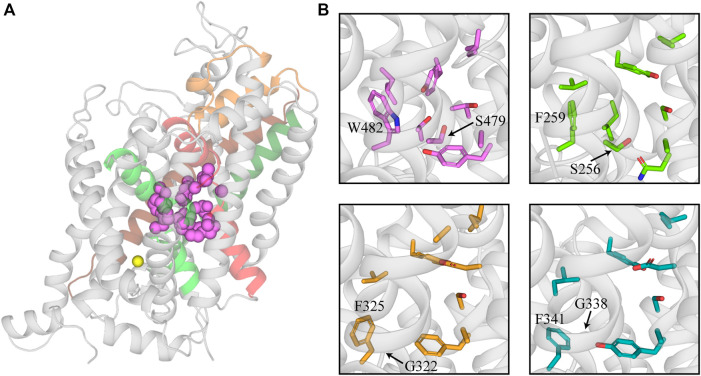 FIGURE 1