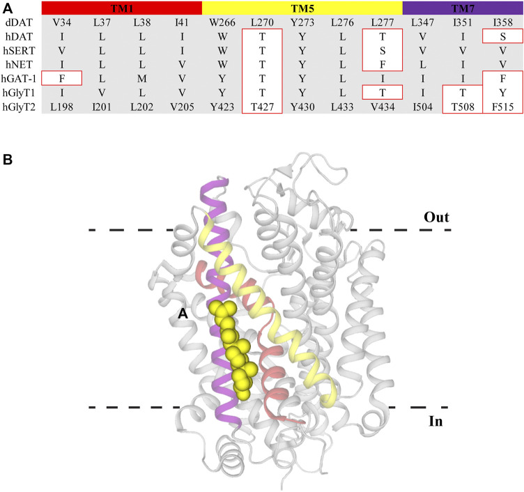 FIGURE 3