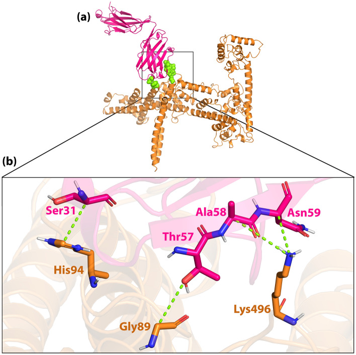 Figure 9