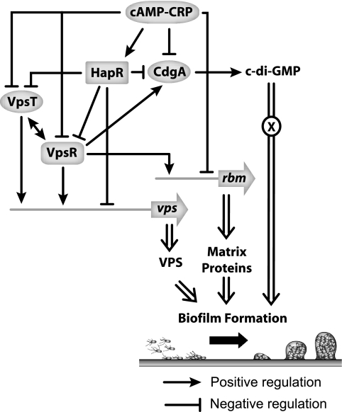 FIG. 7.