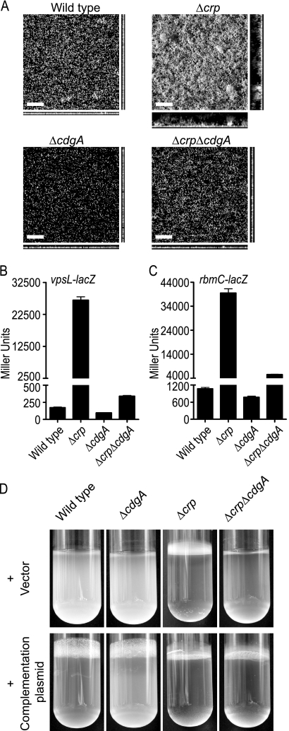 FIG. 6.