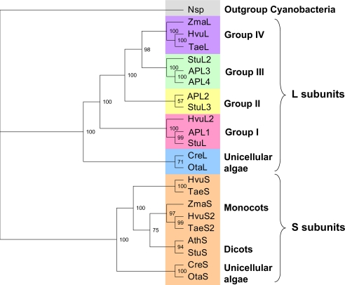 FIGURE 1.