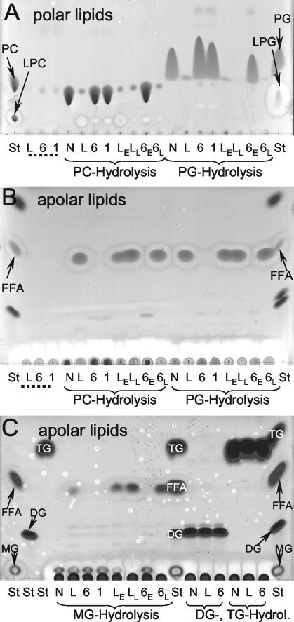 FIG. 5.