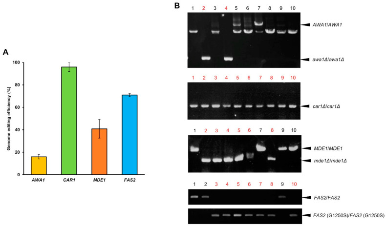 Figure 2