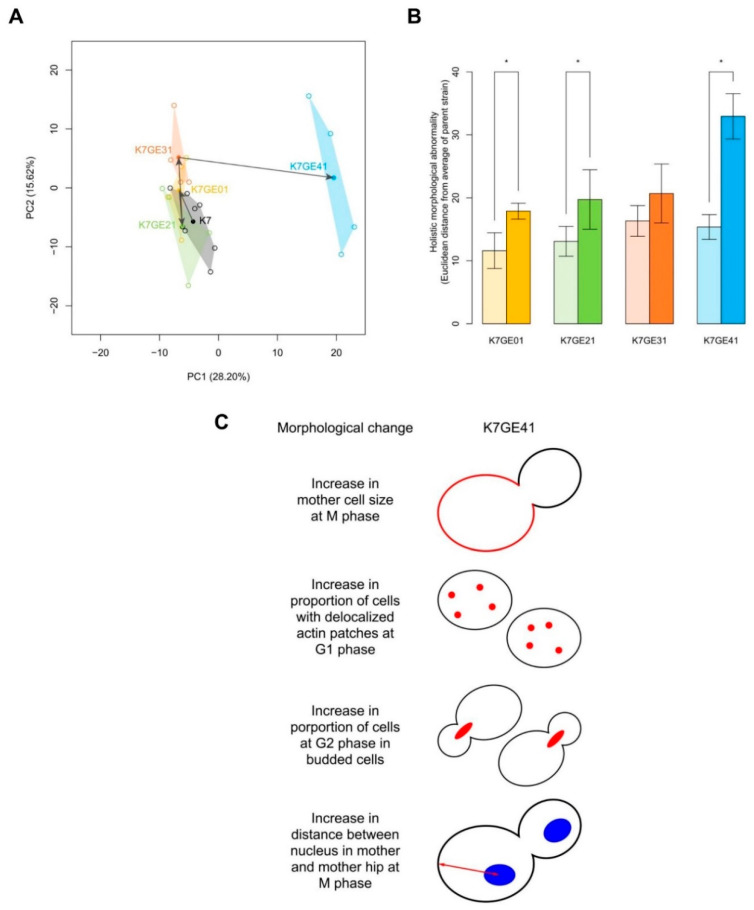 Figure 7