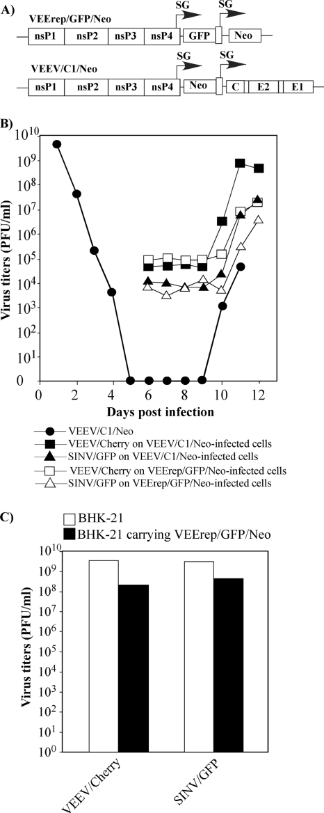 FIG. 7.