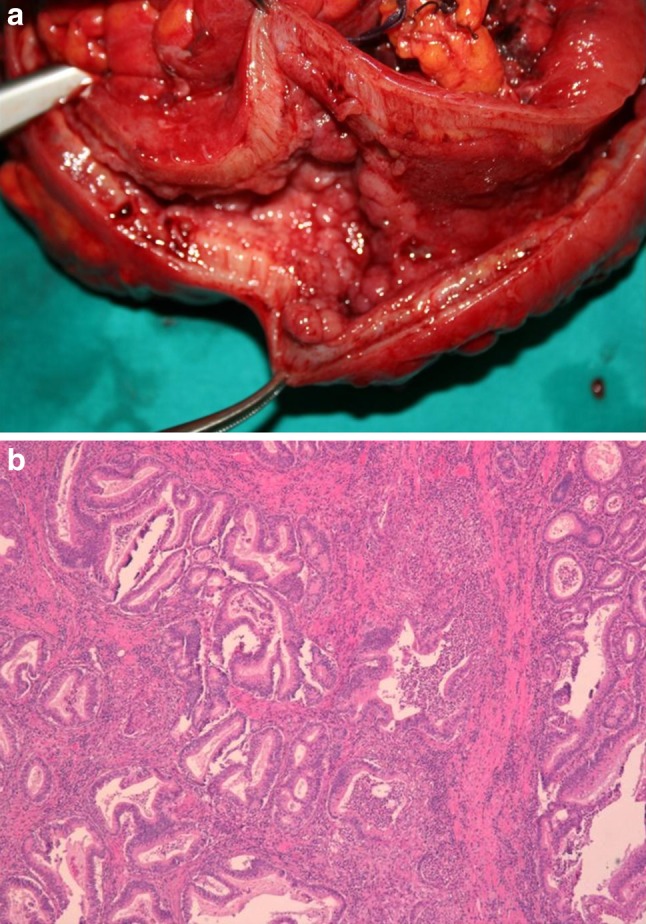 Fig. 6