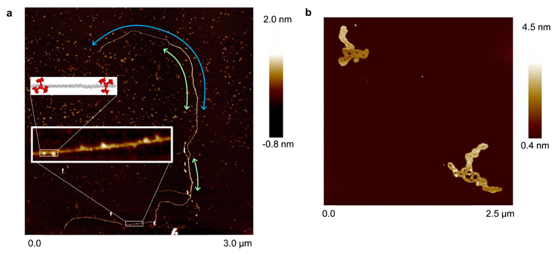 Fig. 4