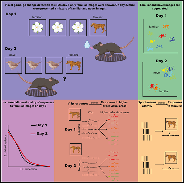 graphic file with name nihms-2019508-f0001.jpg