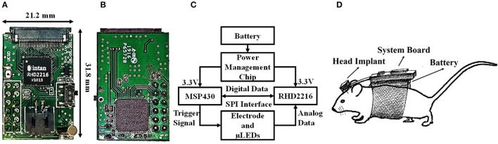 Figure 11