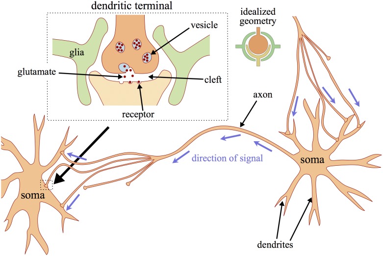 Fig 1