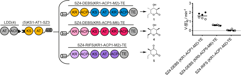 Figure 5.