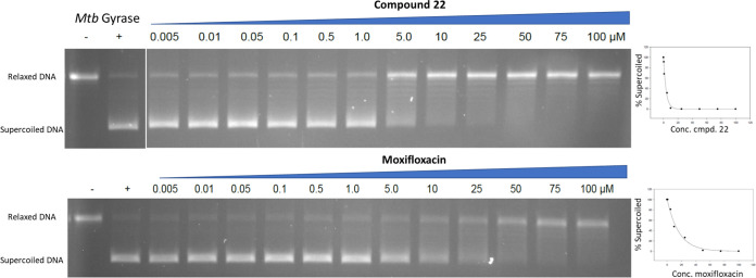 FIG 2