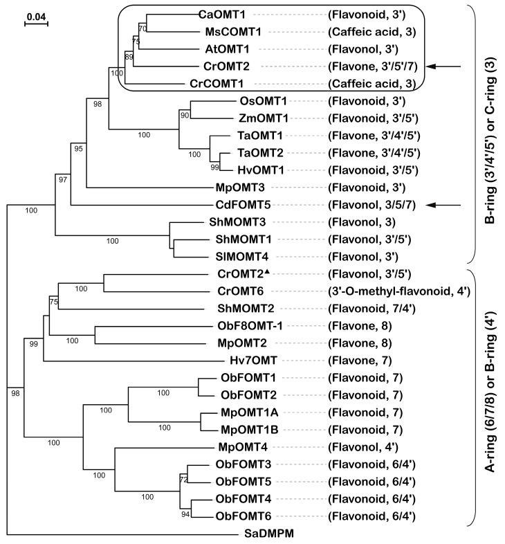 Figure 5