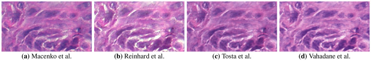 Fig. 6