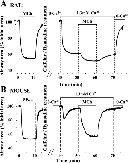 Fig. 8.