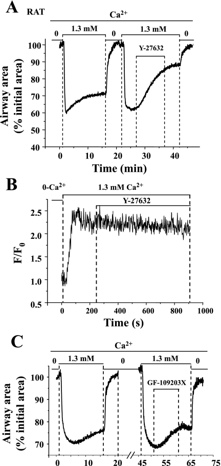 Fig. 10.