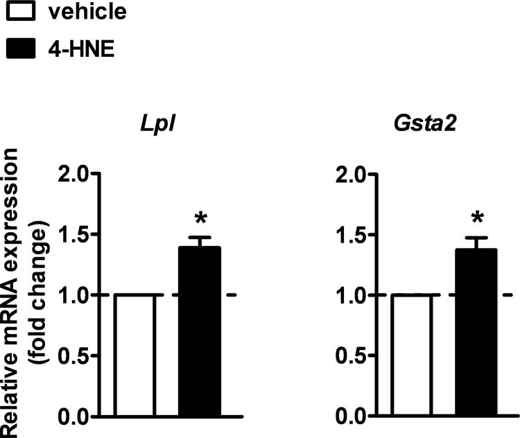 FIGURE 10.