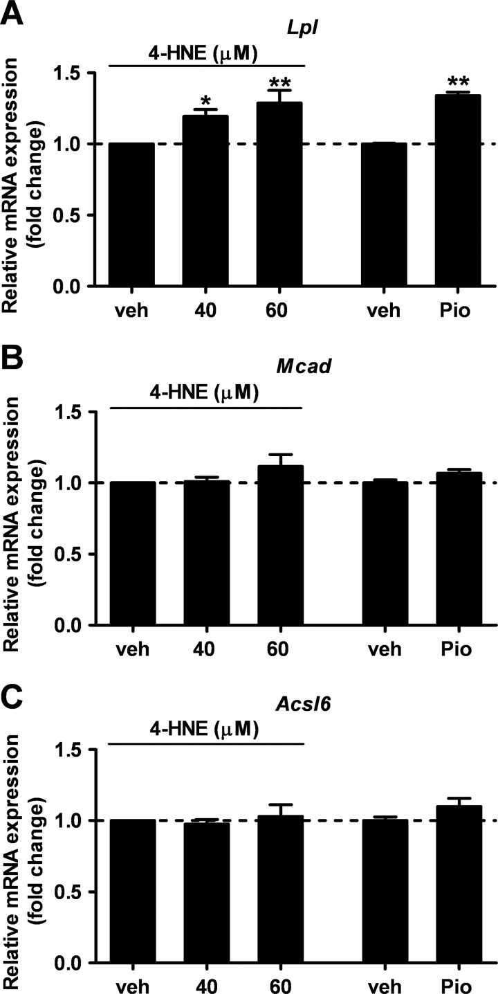 FIGURE 9.