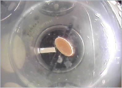 Fig. 2
