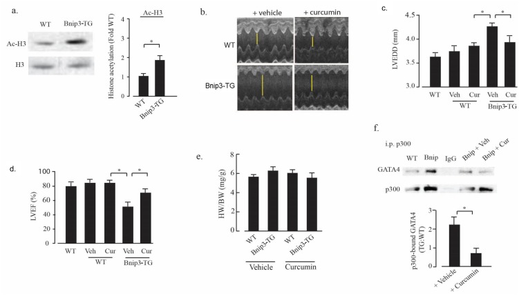 Fig 10