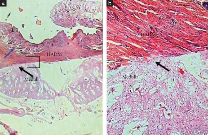 UOG-15987-FIG-0001-c