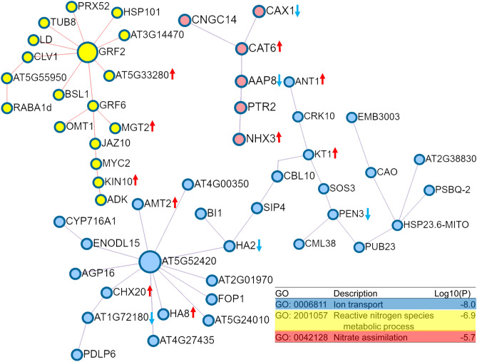 Figure 6