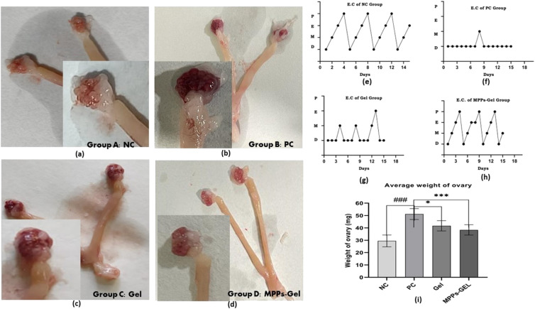 Fig. 12