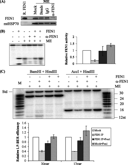 FIG. 6.