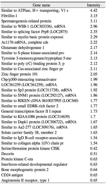 graphic file with name kjo-25-42-i007.jpg