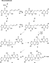 Scheme 5