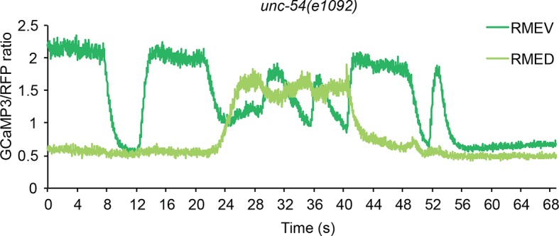 Figure 2—figure supplement 2.