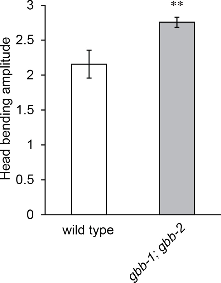 Figure 5—figure supplement 1.