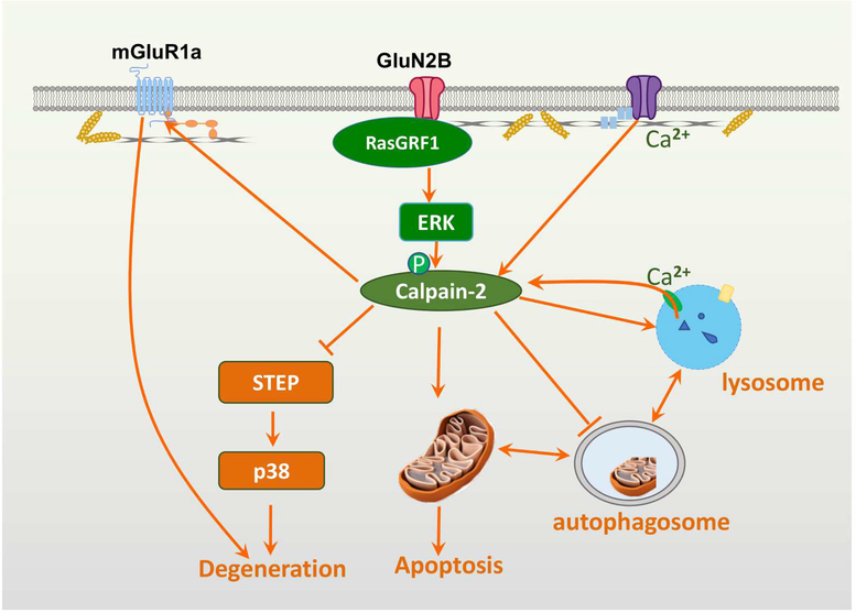 Figure 1: