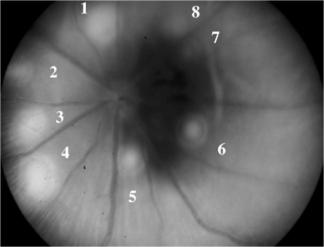 FIGURE 2