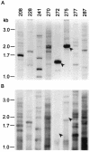 FIG. 6.