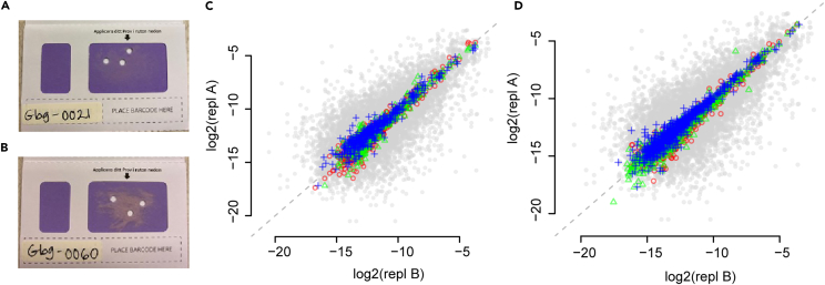 Figure 2