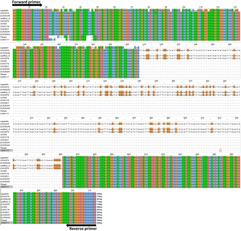 Figure 6.