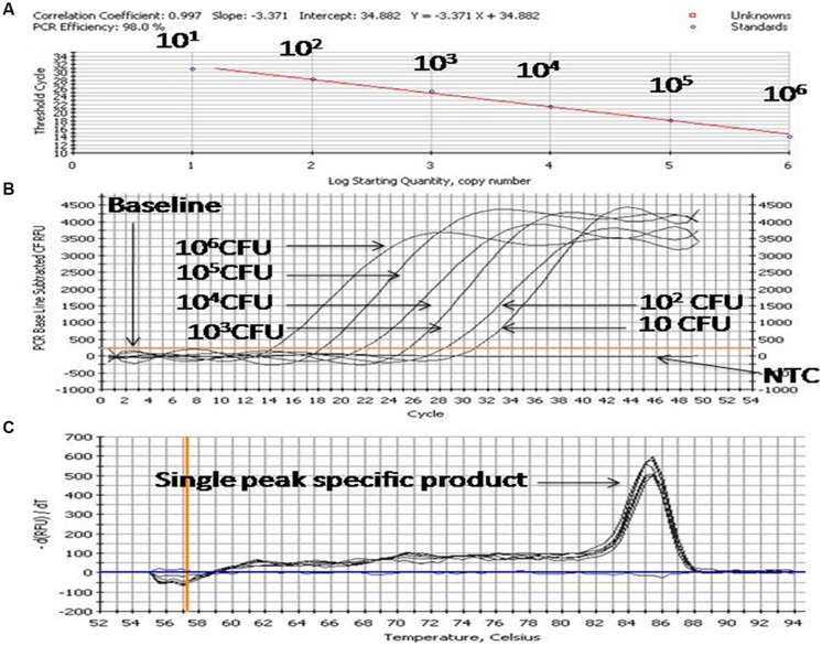 FIGURE 3