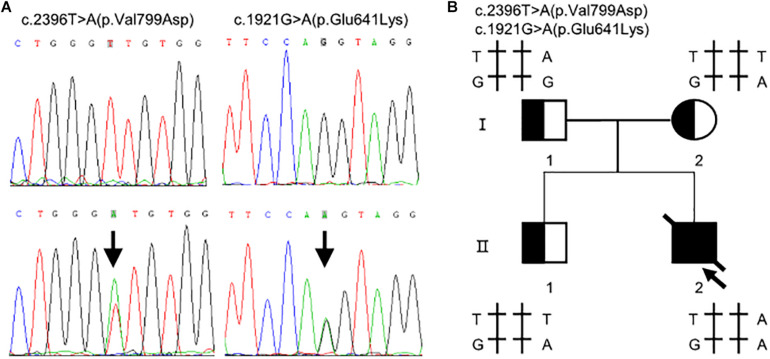 FIGURE 1